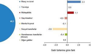 en-yuksek-gelir-grubunun-toplam-gelirden-aldigi-pay-498-oldu-CjVaFgam.jpg