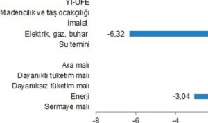 yurt-ici-uretici-fiyat-endeksi-ocak-2024-zX1tAuKp.jpg