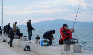 balik-avi-tutkunlari-aliagada-yaristi-WKMI3Ija.jpg