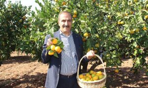 narenciye-sektoru-kktcde-gorulen-yesillenme-hastaliginin-turkiyeye-sicramamasi-icin-topyek-n-mucadele-istiyor-YQ1d5zET.jpg