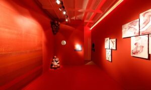 tam-mat-renkler-nippon-paintin-yeni-serisi-deepmattta-H85s8tbU.jpg