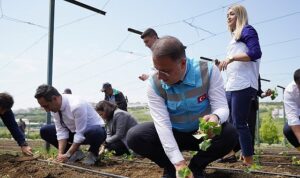 beylikduzu-belediyesi-tarafindan-hayata-gecirilen-ve-kent-tarimina-buyuk-katki-sunan-yasam-bahcesinde-yaz-x8VE71s2.jpg