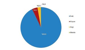 tuik-cig-sut-uretimi-2023-yilinda-04-azalarak-21-milyon-481-bin-567-ton-TH2b9lb1.jpg
