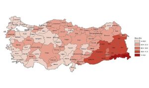 tuik-yuksekogretim-mezunlarinin-orani-25-yas-ve-uzeri-nufusta-246-oldu-G5aJArQU.jpg