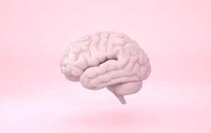 bilinçdışı yayınları (10)