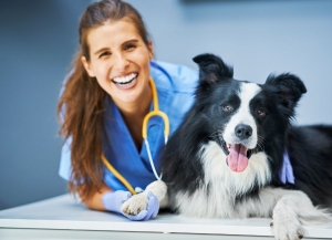 İzmir Veteriner (10)