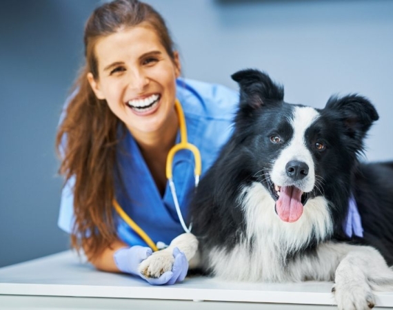 İzmir Veteriner (10)