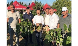 baskan-buyukakin-izmitte-uzum-hasadina-katildi.jpg