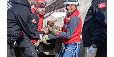 afetzede-hayvanlar-icin-ilcelere-arama-kurtarma-egitimi.jpg