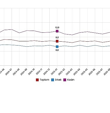 isgucu-istatistikleri-ocak-2026.jpg